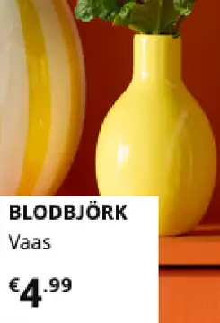 Aanbieding: Dbjörk