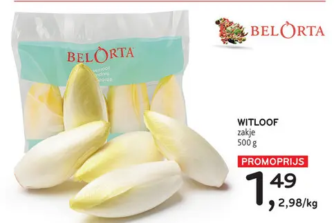 Aanbieding: Witloof