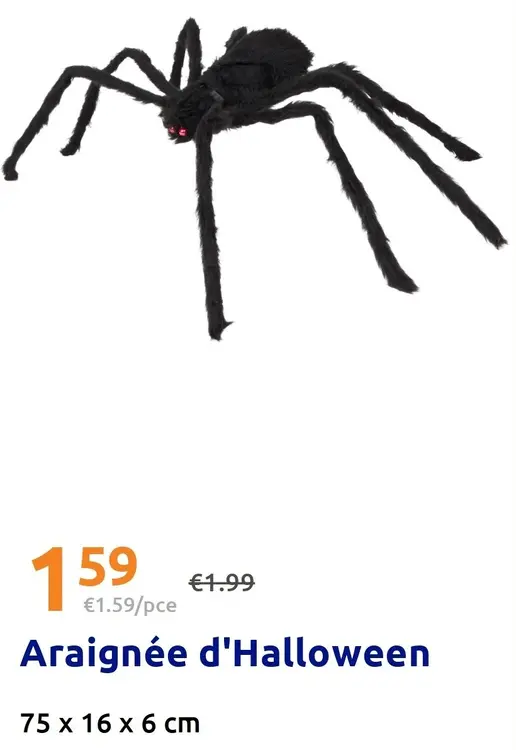 Offre: Araignée d'Halloween