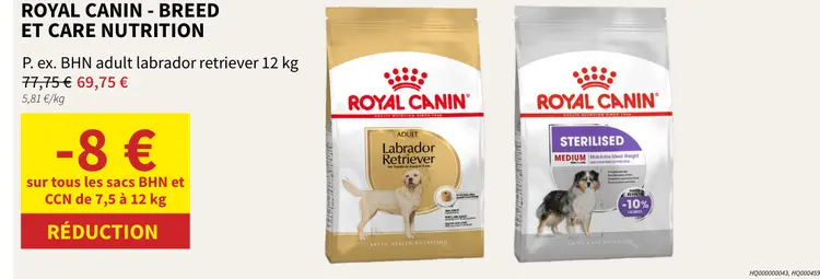 Offre: BHN adult labrador retriever
