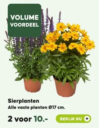 Aanbieding: Sierplanten