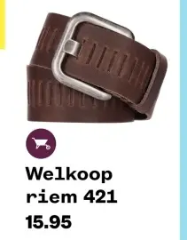 Aanbieding: Welkoop riem 421