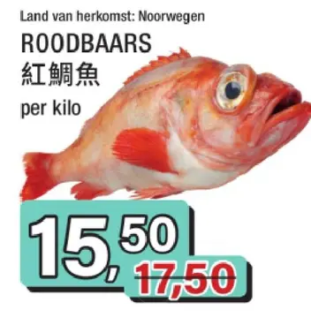 Aanbieding: Roodbaars