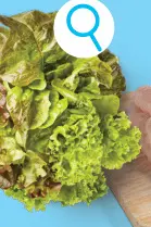 Promotie: Multicolorsla