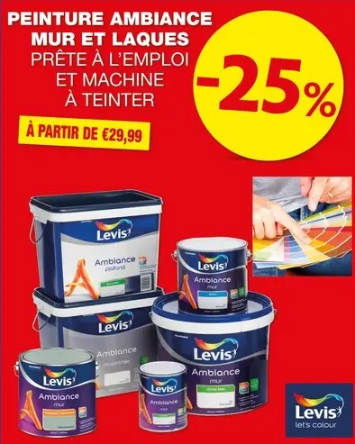 Offre: Ambiance mur et laques