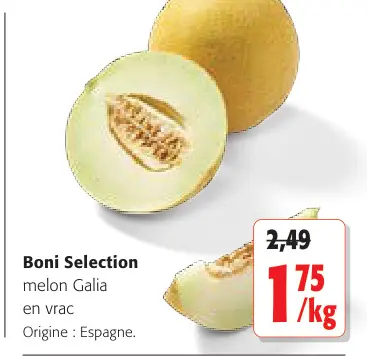 Offre: melon Galia