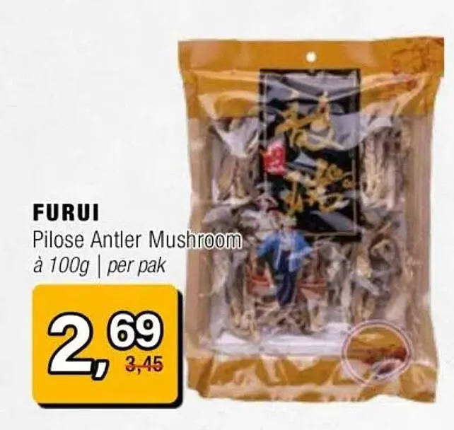 Aanbieding: Pilose Antler Mushroom