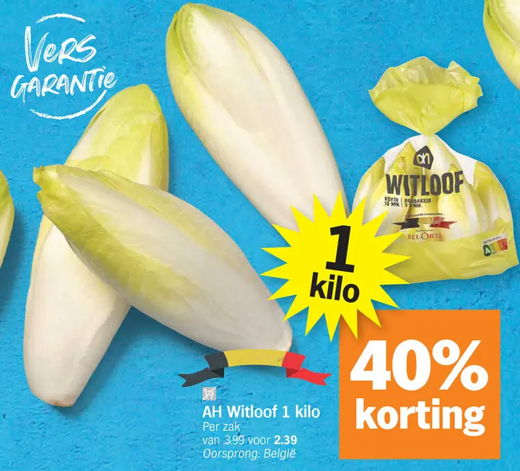 Promotie: Witloof