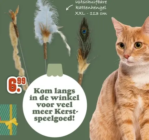 Aanbieding: uitschuifbare kattenhengel