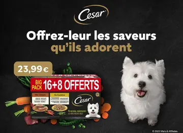 Offre: Cesar