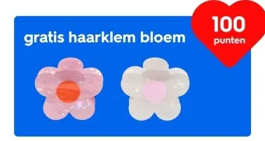 Aanbieding: haarklem bloem