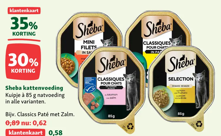 Aanbieding: kattenvoeding Kuipje