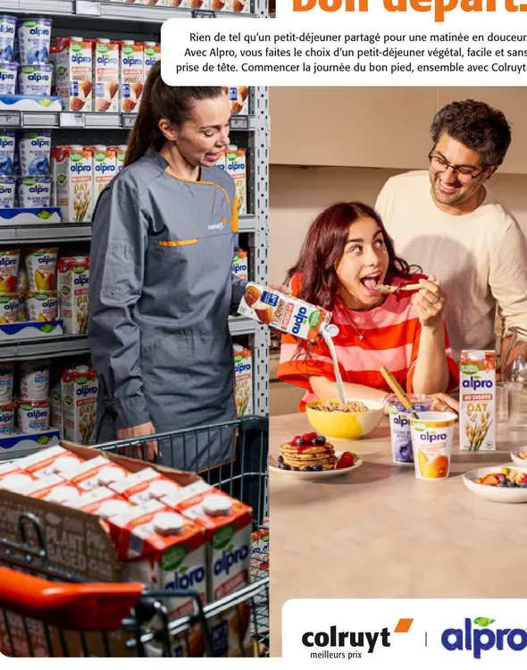 Offre: Petit-déjeuner végétal