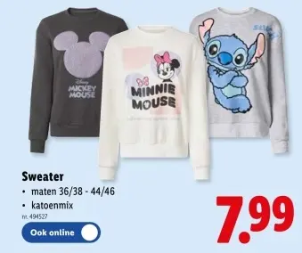 Promotie: Sweater