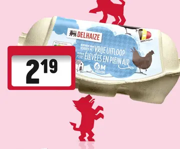 Aanbieding: Eieren van hennen met vrije uitloop