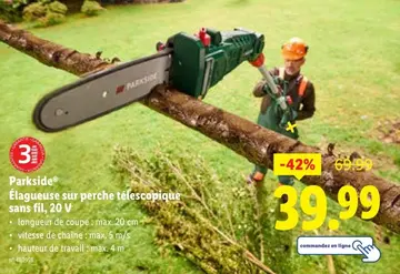 Offre: Élagueuse sur perche télescopique sans fil