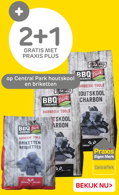 Aanbieding: Central Park houtskool en briketten