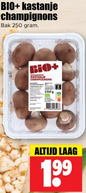 Aanbieding: Kastanje champignons