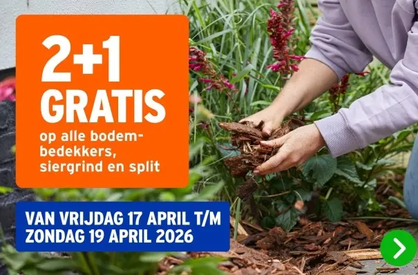 Aanbieding: Alle bodembedekkers, siergrind en split
