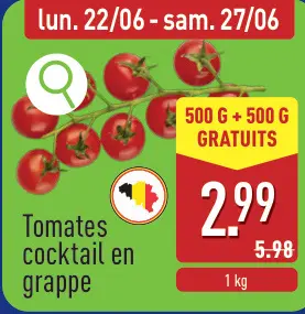 Offre: Tomates cocktail en grappe