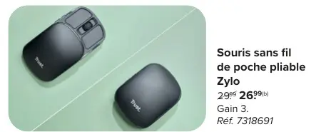 Offre: Souris sans fil de poche pliable Zylo