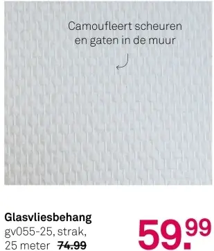 Aanbieding: Glasvliesbehang gv055-25