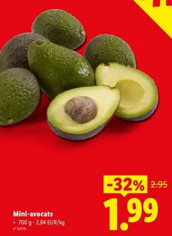 Offre: Mini-avocats