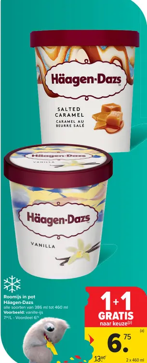 Promotie: Roomijs in pot