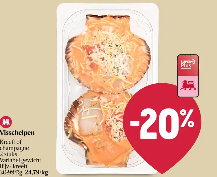 Aanbieding: Visschelpen