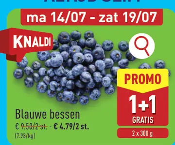 Aanbieding: Blauwe bessen