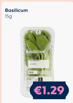 Aanbieding: Basilicum
