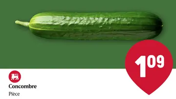 Offre: Concombre