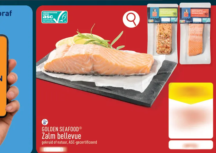 Promotie: Zalm bellevue