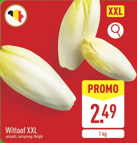 Promotie: Witloof XXL