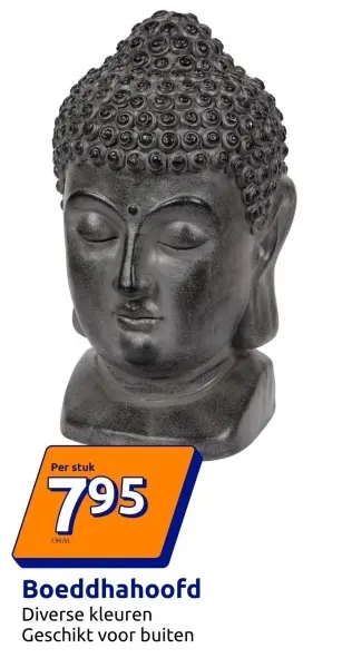 Aanbieding: Boeddhahoofd