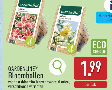 Promotie: Bloembollen