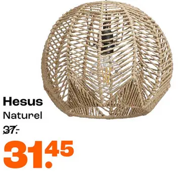 Aanbieding: Hesus Naturel