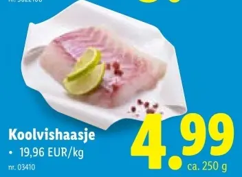 Promotie: Koolvishaasje