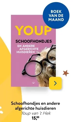 Aanbieding: Schoofhondjes en andere afgerichte huisdieren