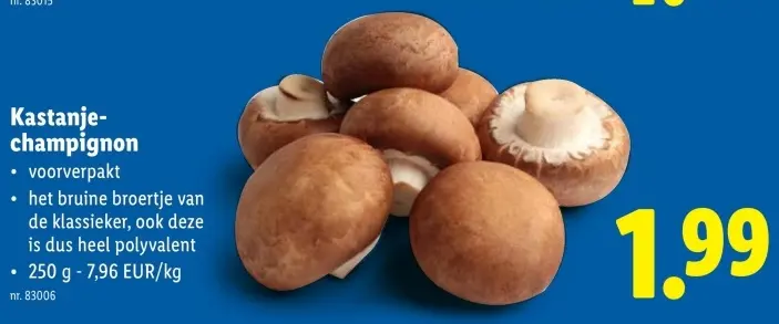 Promotie: Kastanje-champignon