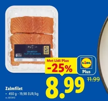 Promotie: Zalmfilet