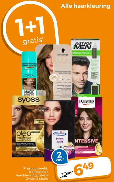 Aanbieding: Alle haarkleuring