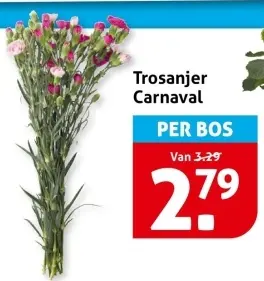 Aanbieding: Trosanjer Carnaval