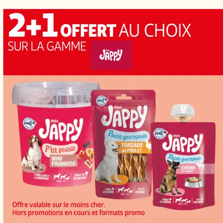 Offre: Jappy
