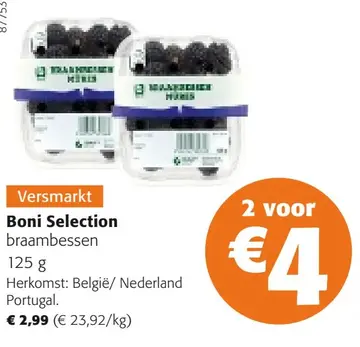 Aanbieding: Braambessen