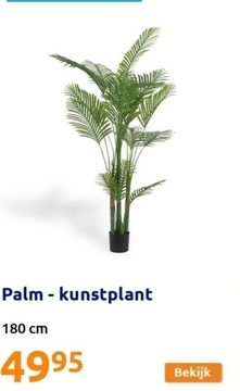 Aanbieding: Palm - kunstplant