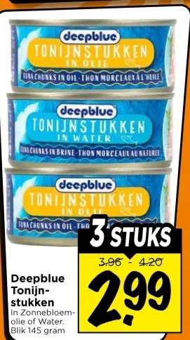 Tonijnstukken
