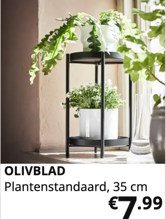 Promotie: Olivblad plantenstandaard