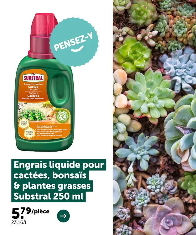 Offre: Engrais liquide pour cactées, bonsaïs & plantes grasses 250 ml