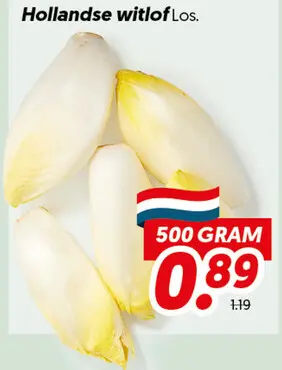 Hollandse witlof